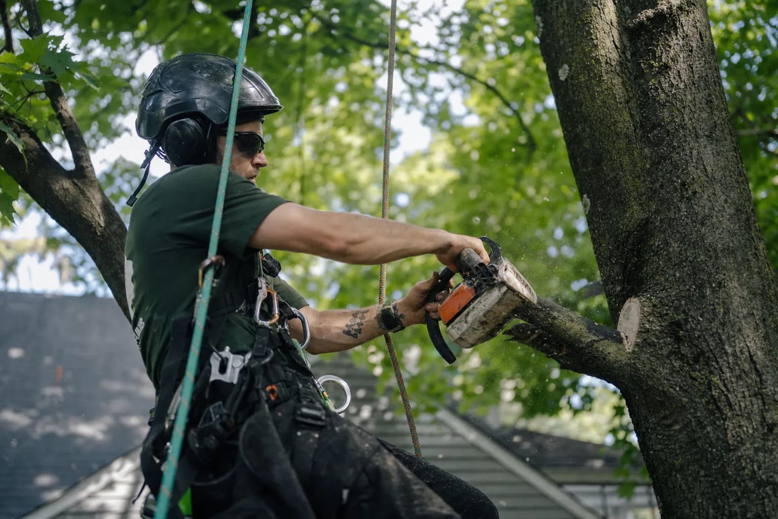 Tree Service answering service